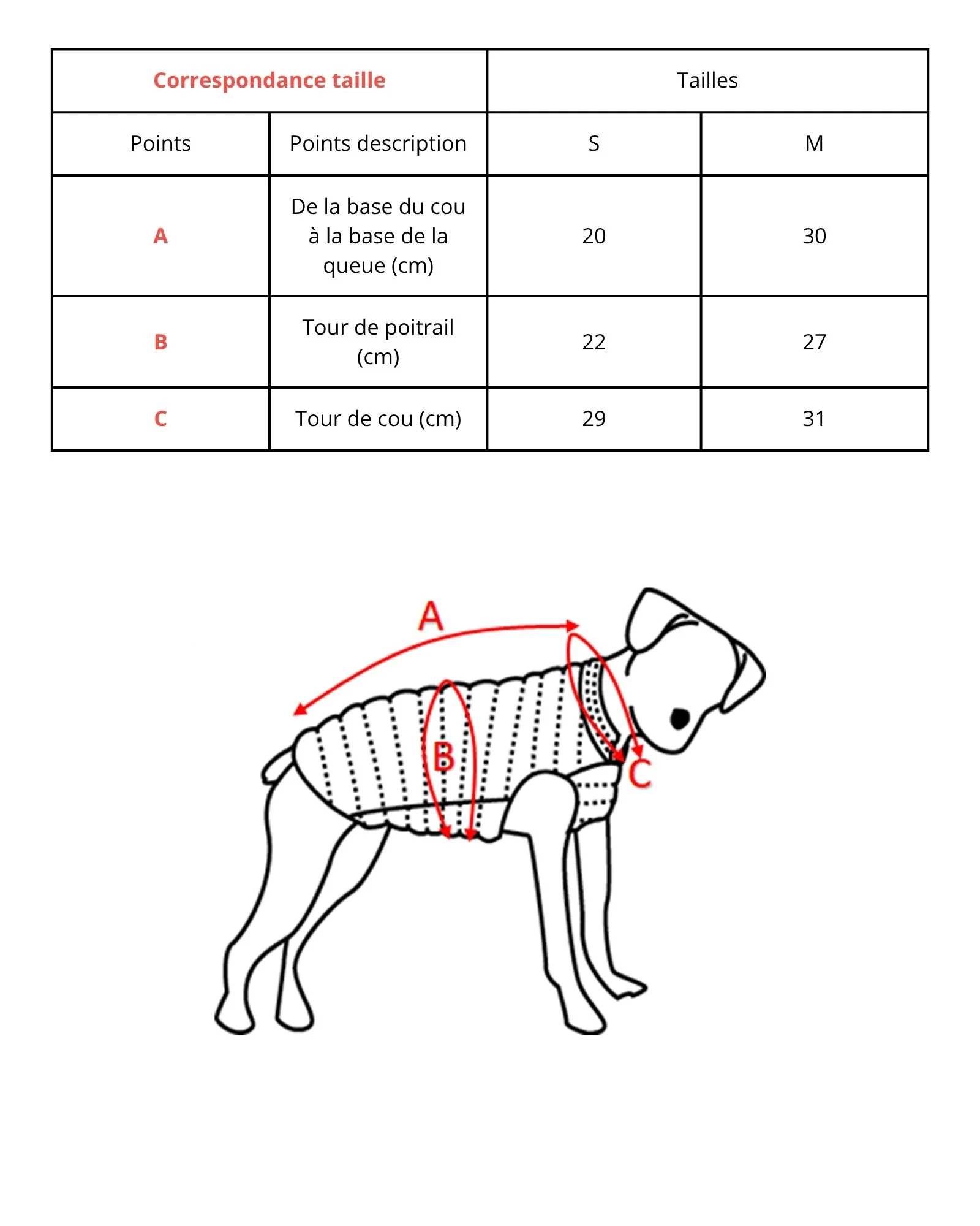 Imperméable pour chien Vert persan Balto - Image 3